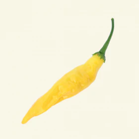 Aji Limon Chilli Seeds - Image 3