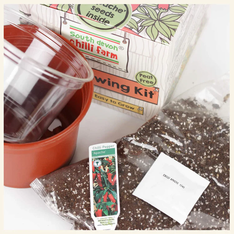 Chilli Growing Kit 'All-In-One' - Image 3