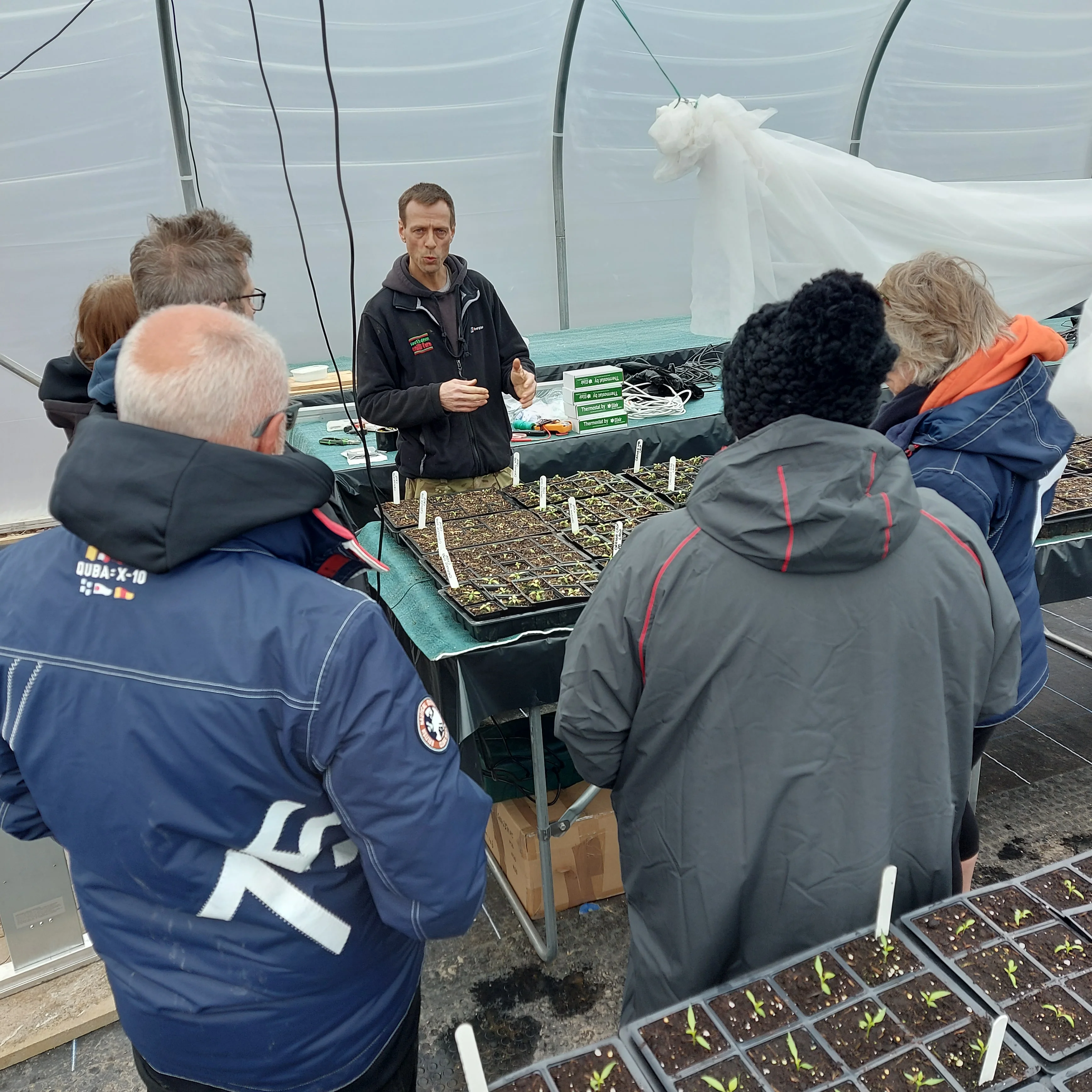 Chilli Growing Workshop - Saturday 8th April 12pm - Image 3