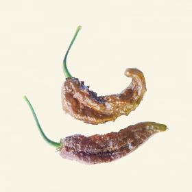 Chocolate Bhut Jolokia Chilli Seeds - Image 3