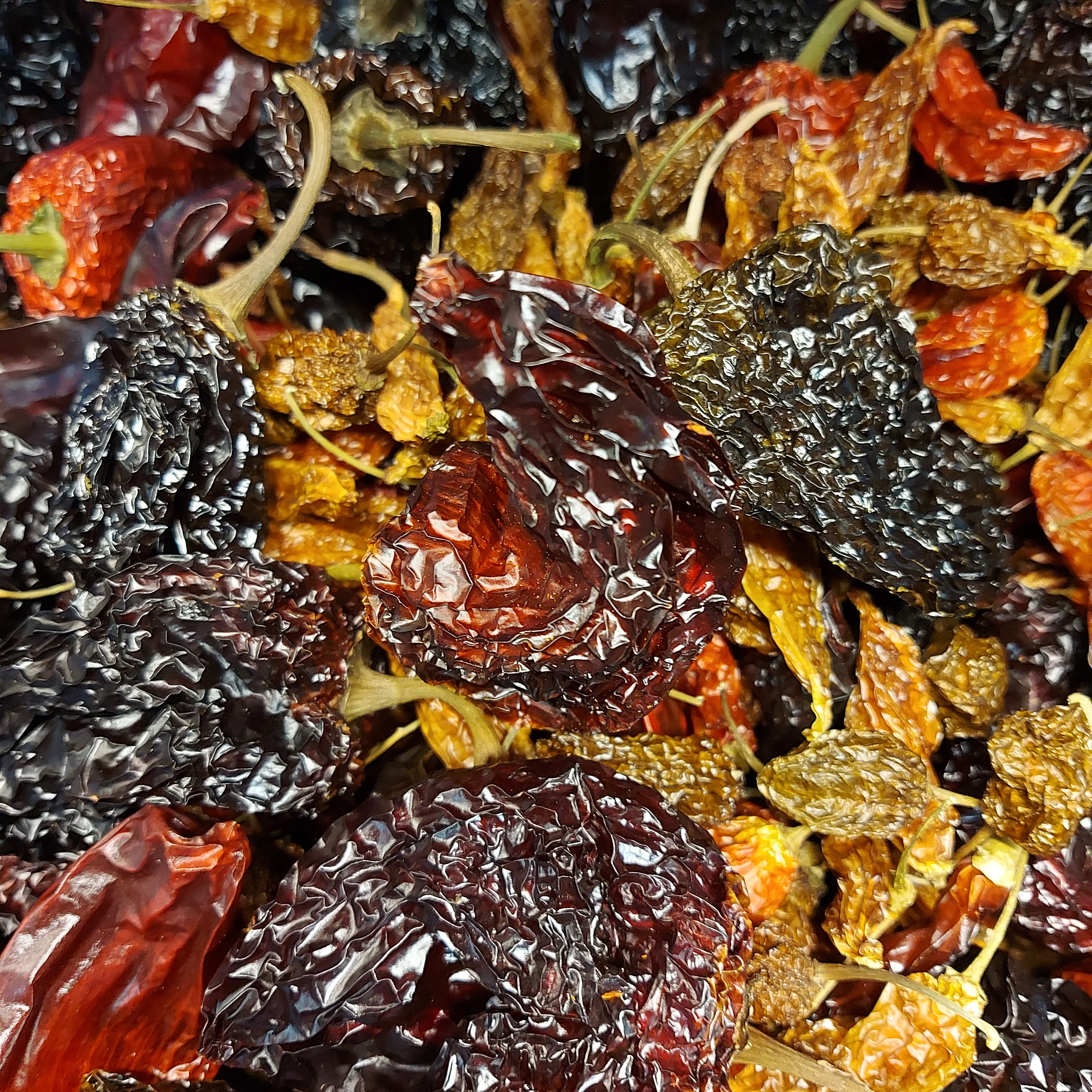 Dried Mixed Chillies (Home Grown) - Image 3