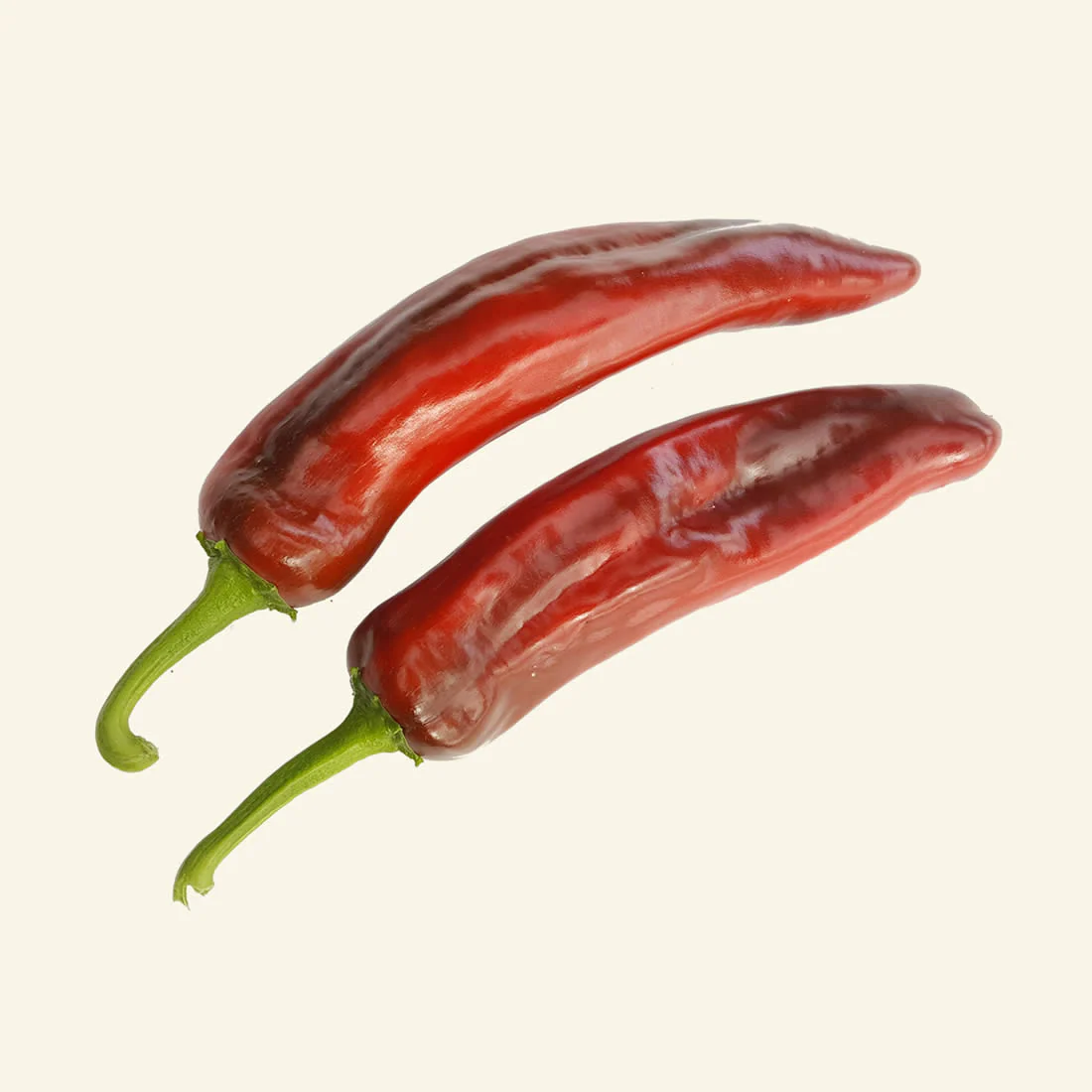 Fresh Anaheim (Hatch) Chillies - Red (2 fruits) - Image 2