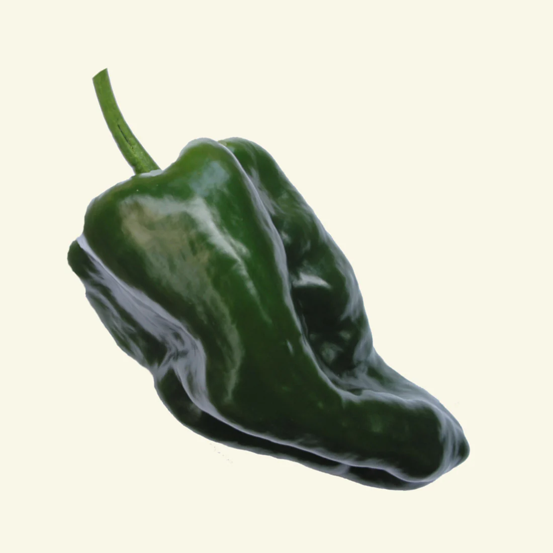 Fresh Poblano Chillies (2 fruits) - Image 3