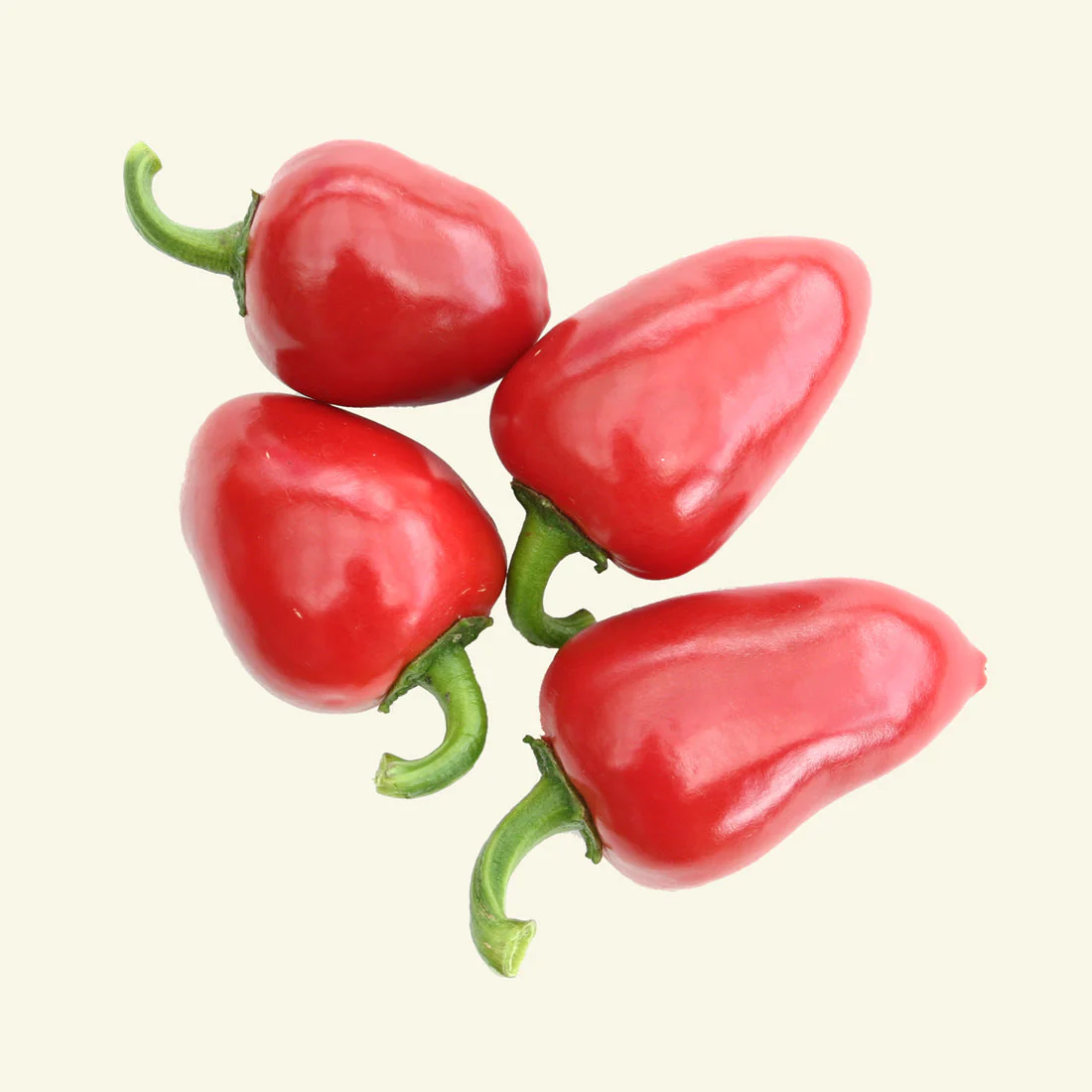 Fruity Trio - PRE ORDER FOR 2026 - Image 3
