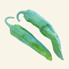 Guajillo 1 Litre Pot Plant - Pre-Order Now! - Image 3