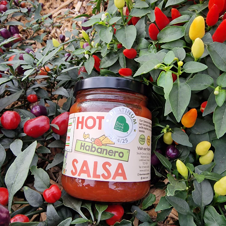 Hot Habanero Salsa - Image 4