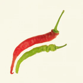 Pepperoncini Chilli Seeds (Heatless) - Image 2