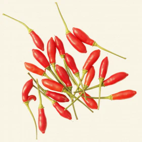 Piri Piri Chilli Seeds - Image 3