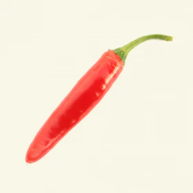 Serrano Chilli 1 litre pot plant - Image 3